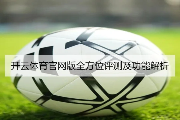 开云体育官网版全方位评测及功能解析